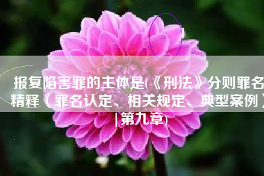 报复陷害罪的主体是(《刑法》分则罪名精释（罪名认定、相关规定、典型案例）|第九章)