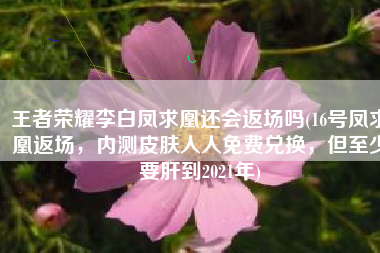 王者荣耀李白凤求凰还会返场吗(16号凤求凰返场，内测皮肤人人免费兑换，但至少要肝到2021年)