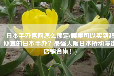 日本手办官网怎么预定(哪里可以买到超便宜的日本手办？最强大阪日本桥动漫街店铺合集！)