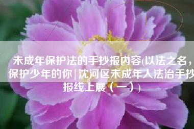 未成年保护法的手抄报内容(以法之名，保护少年的你|沈河区未成年人法治手抄报线上展（一）)