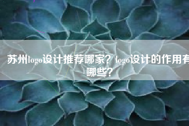 苏州logo设计推荐哪家？logo设计的作用有哪些？