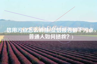 信用污点怎么消除(征信报告留下污点，普通人如何拯救？)