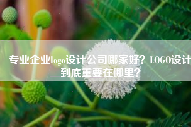 专业企业logo设计公司哪家好？LOGO设计到底重要在哪里？