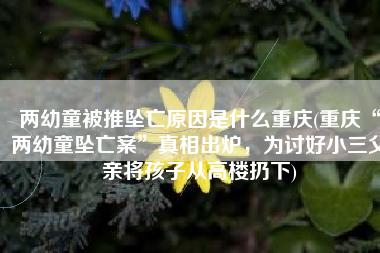 两幼童被推坠亡原因是什么重庆(重庆“两幼童坠亡案”真相出炉，为讨好小三父亲将孩子从高楼扔下)