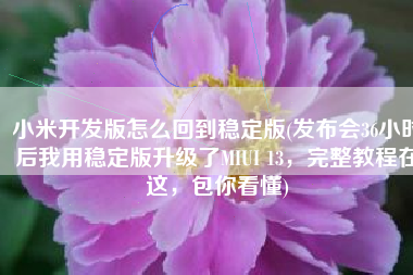 小米开发版怎么回到稳定版(发布会36小时后我用稳定版升级了MIUI 13，完整教程在这，包你看懂)