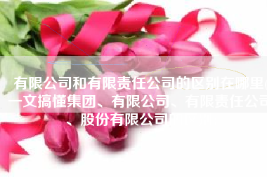 有限公司和有限责任公司的区别在哪里(一文搞懂集团、有限公司、有限责任公司、股份有限公司的区别)