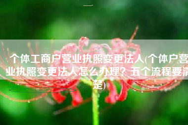个体工商户营业执照变更法人(个体户营业执照变更法人怎么办理？五个流程要清楚)