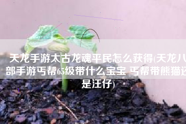 天龙手游太古龙魂平民怎么获得(天龙八部手游丐帮65级带什么宝宝 丐帮带熊猫还是汪仔)