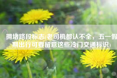 拥堵路段标志(老司机都认不全，五一假期出行可要留意这些冷门交通标识)