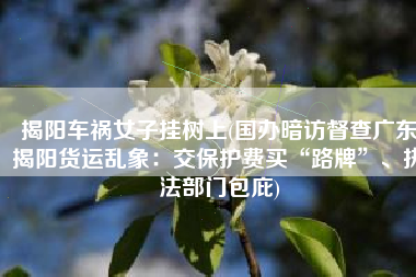 揭阳车祸女子挂树上(国办暗访督查广东揭阳货运乱象：交保护费买“路牌”、执法部门包庇)