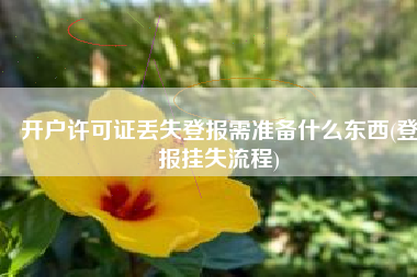 开户许可证丢失登报需准备什么东西(登报挂失流程)