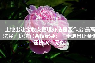 土地出让金收支管理办法是否作废(最高法民一庭法官会议纪要：“土地出让金返还协议”无效)