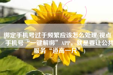 绑定手机号过于频繁应该怎么处理(视点丨手机号“一键解绑”APP，就是要让公共服务“道高一尺”)