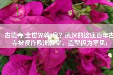 古德寺(全世界就2座？武汉的这座百年古寺被误作欧洲教堂，造型极为罕见)