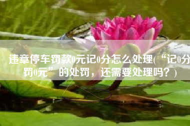 违章停车罚款0元记0分怎么处理(“记0分罚0元”的处罚，还需要处理吗？)