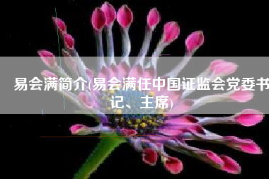 易会满简介(易会满任中国证监会党委书记、主席)
