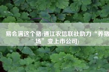易会满这个猪(通江农信联社助力“养猪场”变上市公司)