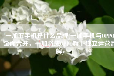 一加五手机是什么品牌(一加手机与OPPO全面合并，一加将成OPPO旗下独立运营品牌)