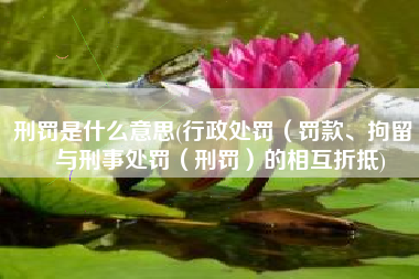 刑罚是什么意思(行政处罚（罚款、拘留）与刑事处罚（刑罚）的相互折抵)