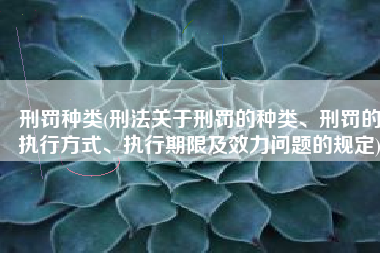 刑罚种类(刑法关于刑罚的种类、刑罚的执行方式、执行期限及效力问题的规定)