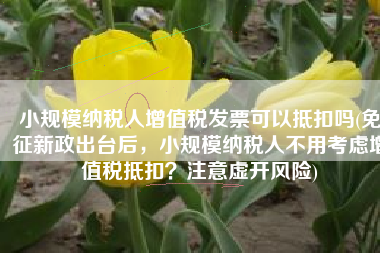 小规模纳税人增值税发票可以抵扣吗(免征新政出台后，小规模纳税人不用考虑增值税抵扣？注意虚开风险)