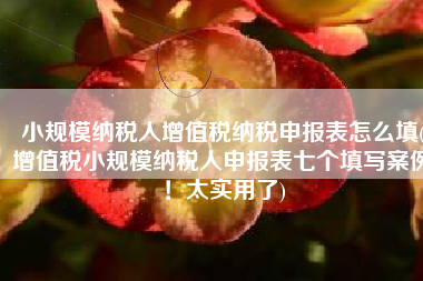 小规模纳税人增值税纳税申报表怎么填(增值税小规模纳税人申报表七个填写案例！太实用了)