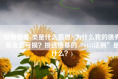 短期债券c类是什么意思?(为什么我的债券基金会亏损？挑选债基的“4433法则”是什么？)