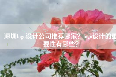 深圳logo设计公司推荐哪家？logo设计的重要性有哪些？