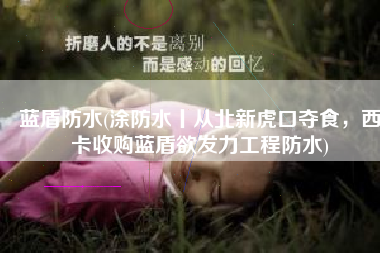 蓝盾防水(涂防水丨从北新虎口夺食，西卡收购蓝盾欲发力工程防水)