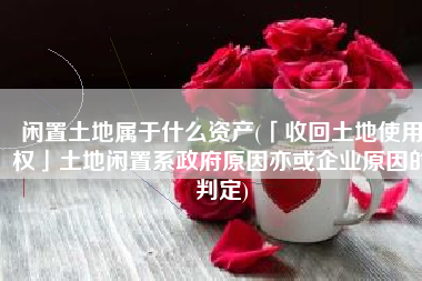 闲置土地属于什么资产(「收回土地使用权」土地闲置系政府原因亦或企业原因的判定)