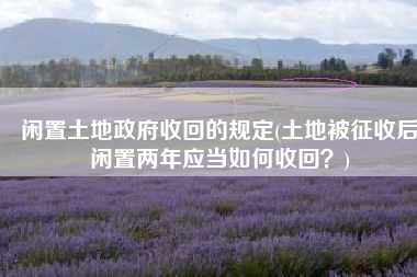 闲置土地政府收回的规定(土地被征收后闲置两年应当如何收回？)