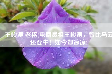 王峻涛 老榕(电商鼻祖王峻涛，曾比马云还要牛！如今却凉凉)