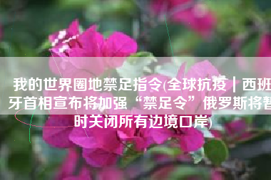 我的世界圈地禁足指令(全球抗疫｜西班牙首相宣布将加强“禁足令”俄罗斯将暂时关闭所有边境口岸)