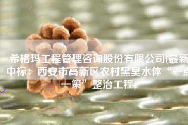 希格玛工程管理咨询股份有限公司(最新中标：西安市高新区农村黑臭水体“一点一策”整治工程)