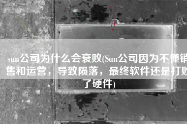 sun公司为什么会衰败(Sun公司因为不懂销售和运营，导致陨落，最终软件还是打败了硬件)