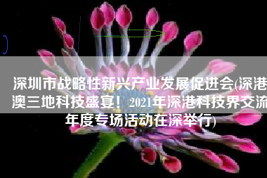 深圳市战略性新兴产业发展促进会(深港澳三地科技盛宴！2021年深港科技界交流年度专场活动在深举行)