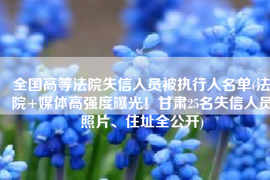 全国高等法院失信人员被执行人名单(法院+媒体高强度曝光！甘肃25名失信人员照片、住址全公开)