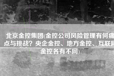 北京金控集团(金控公司风险管理有何痛点与挑战？央企金控、地方金控、互联网金控各有不同)