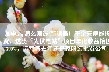 加电app怎么赚钱(新骗局！千余元便能投资，这类“光伏电站”项目年化收益接近300%，运营者去年还是家服装批发公司)