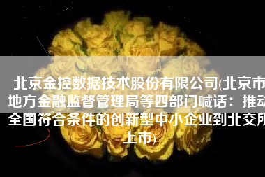 北京金控数据技术股份有限公司(北京市地方金融监督管理局等四部门喊话：推动全国符合条件的创新型中小企业到北交所上市)