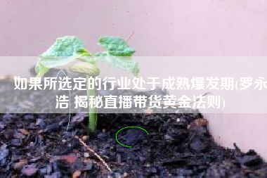 如果所选定的行业处于成熟爆发期(罗永浩 揭秘直播带货黄金法则)