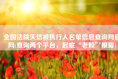全国法院失信被执行人名单信息查询网官网(查询两个平台，起底“老赖”根脚)