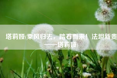 塔莉娅(乘风归去，踏石而来！法坦新贵——塔莉娅)