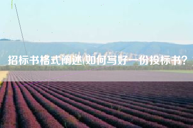 招标书格式阐述(如何写好一份投标书？)