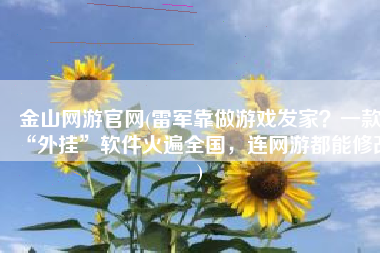 金山网游官网(雷军靠做游戏发家？一款“外挂”软件火遍全国，连网游都能修改)