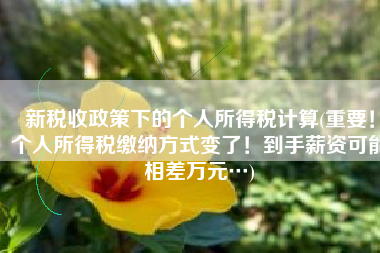 新税收政策下的个人所得税计算(重要！个人所得税缴纳方式变了！到手薪资可能相差万元…)