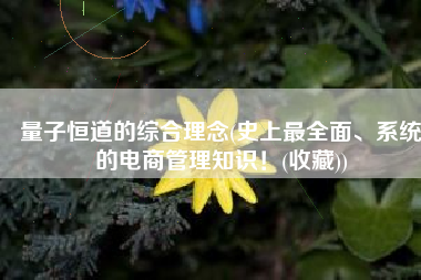 量子恒道的综合理念(史上最全面、系统的电商管理知识！(收藏))
