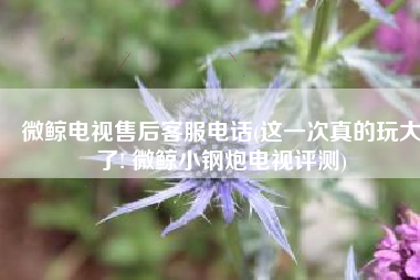 微鲸电视售后客服电话(这一次真的玩大了! 微鲸小钢炮电视评测)