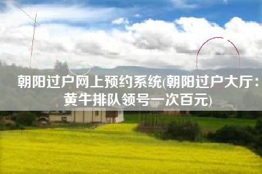 朝阳过户网上预约系统(朝阳过户大厅：黄牛排队领号一次百元)