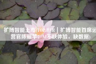 扩博智能上市(TOP HER｜扩博智能首席运营官陈丽苹：AI不缺体验，缺数据)